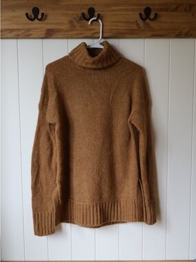 Everlane The Cloud Alpaca Turtleneck